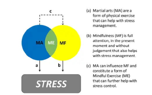 martial arts stress relief