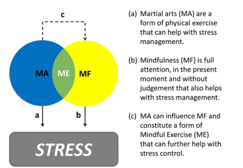 How martial arts reduce stress levels