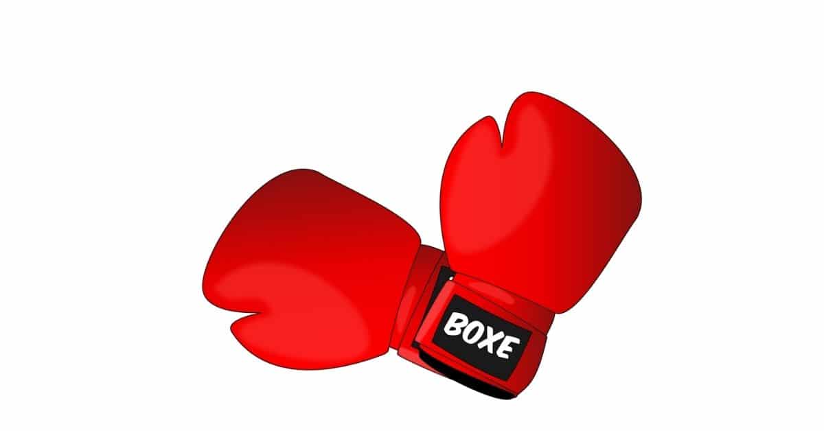 Boxing gloves