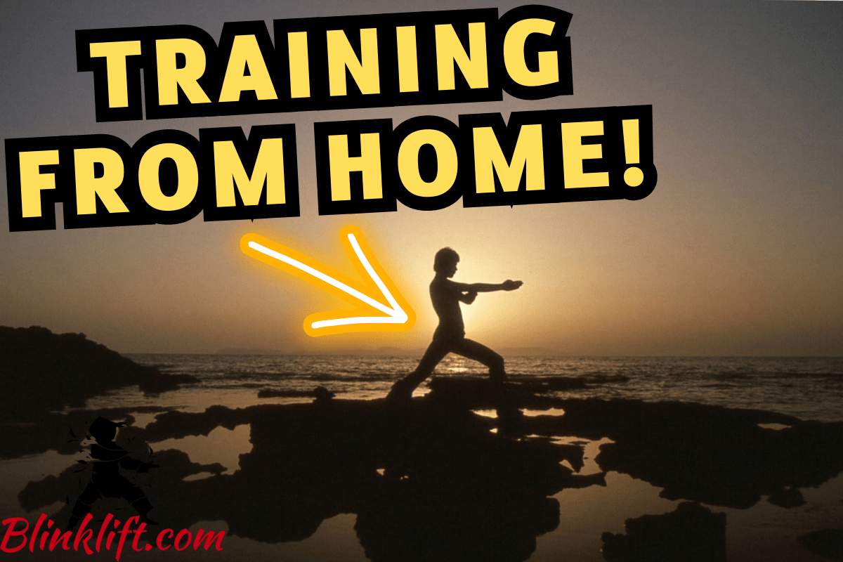 Learning Martial Arts at Home