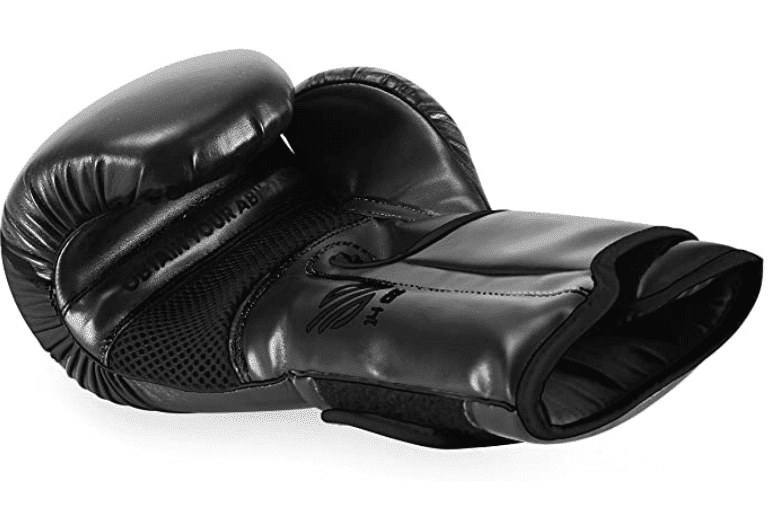 Sanabul punching bag gloves