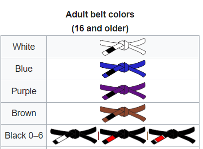 bjj belt