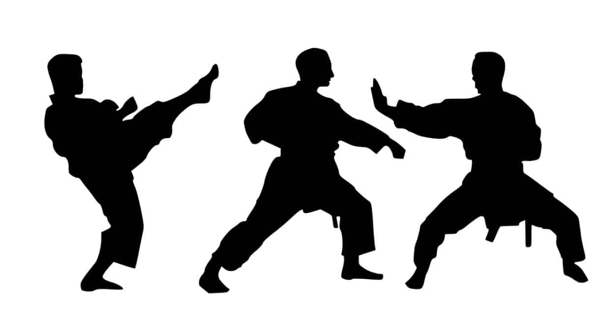 Martial arts