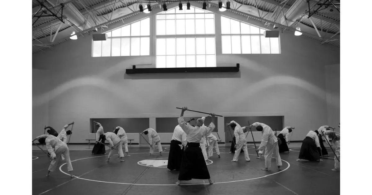 Aikido class