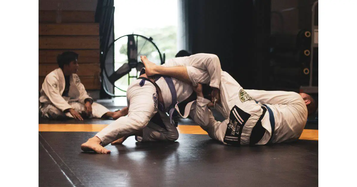 BJJ grappling fight