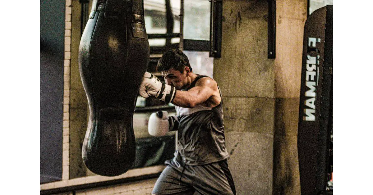 Boxer punching