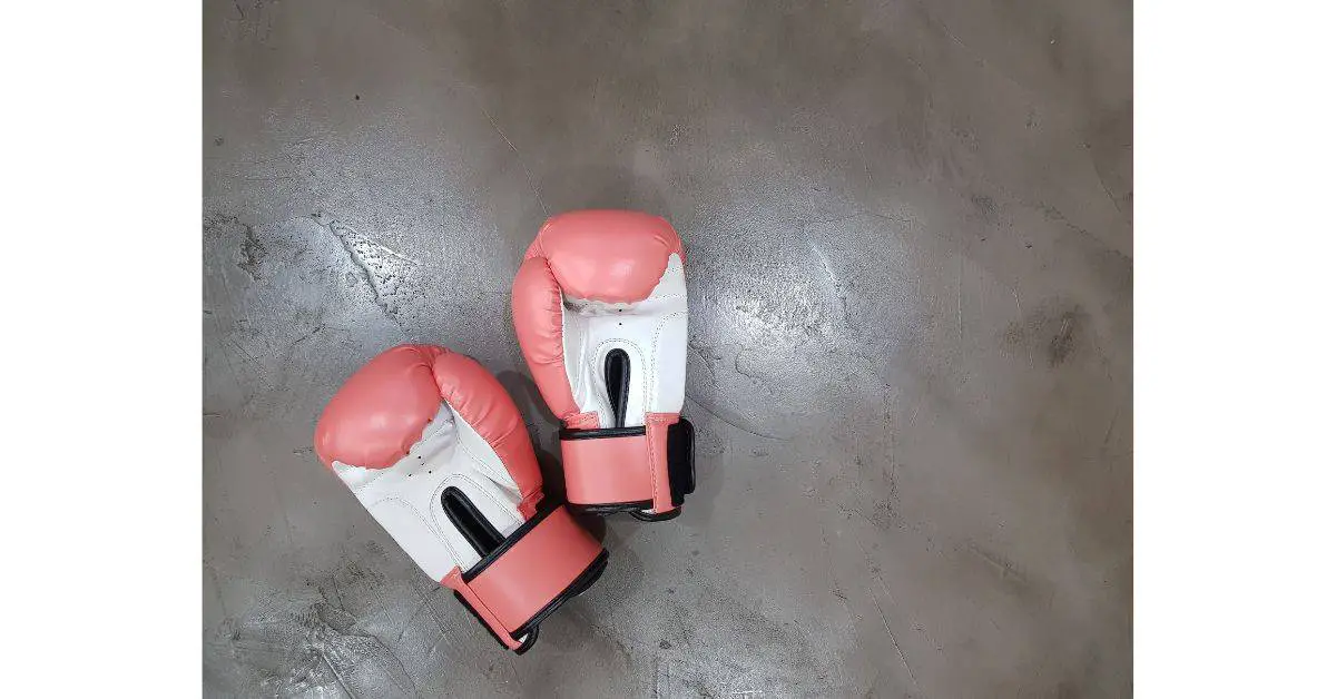 Boxing gloves