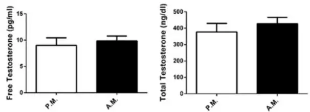 Testosterone levels after boxing training