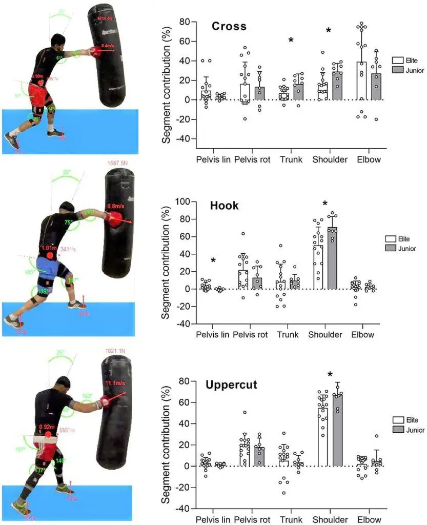 Punching force and muscle contribution