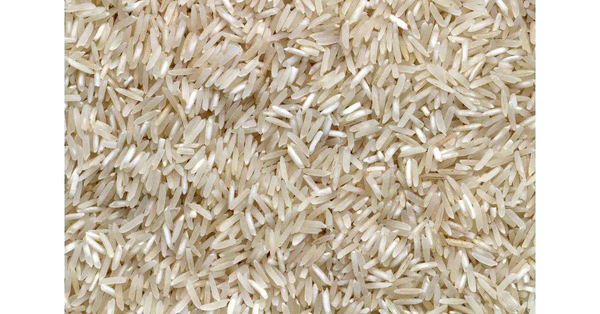 Rice