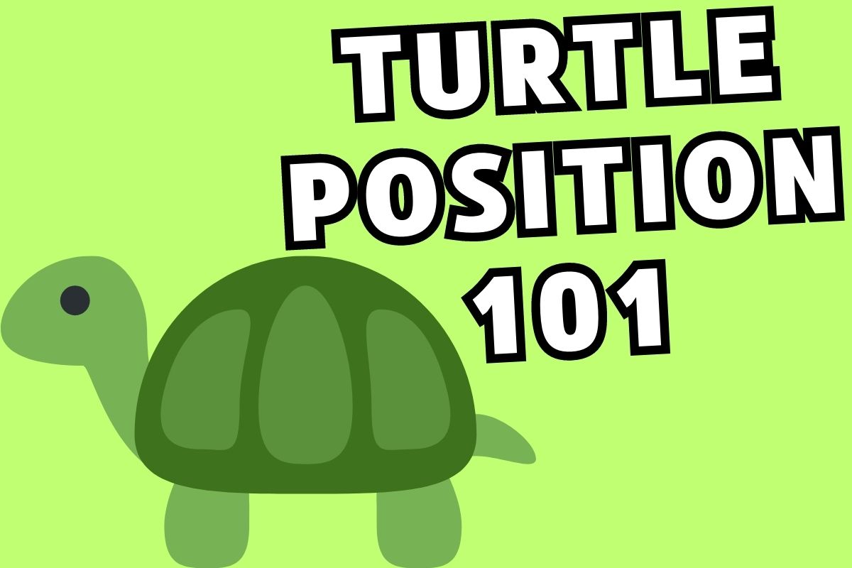 Turtle Position 101