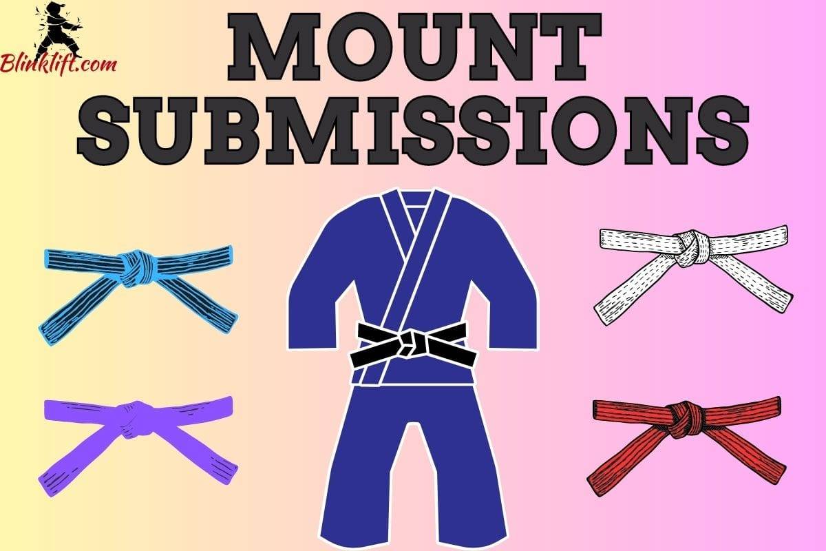 Best submissions from mount