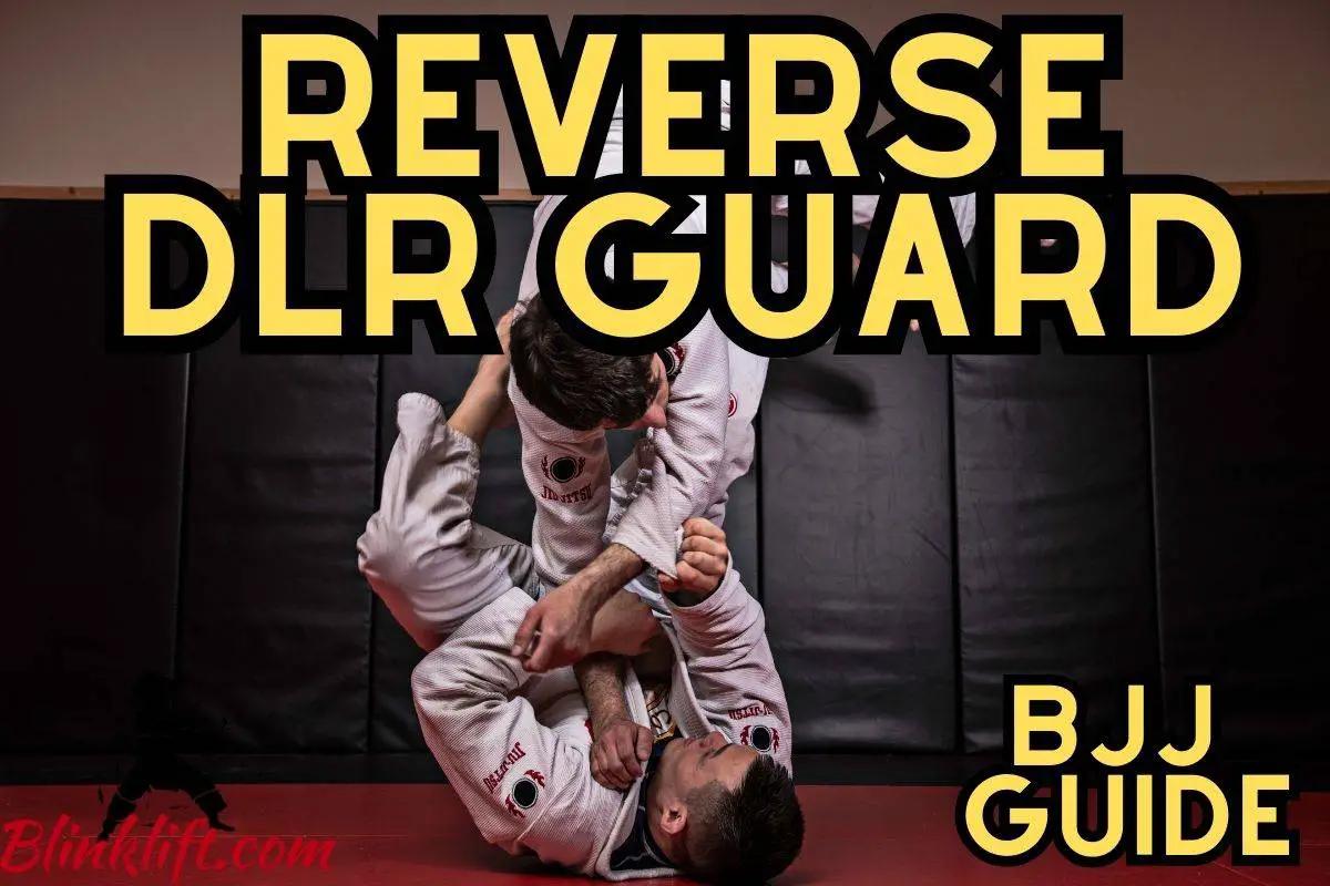 Reverse De La Riva Guard