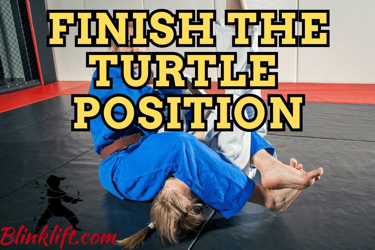 Turtle Position Submissions