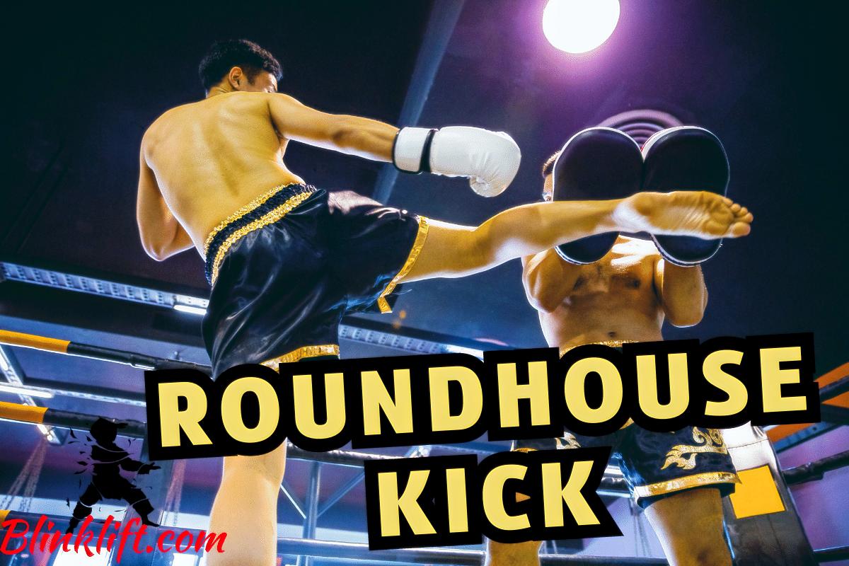 Roundhouse Kick Guide