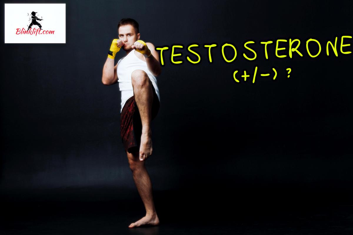 muay thai testosterone