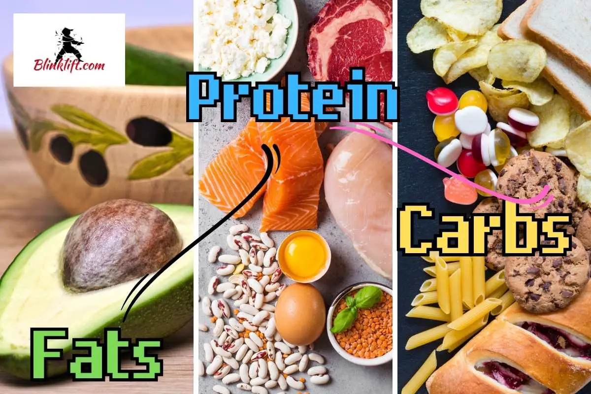 Macronutrients