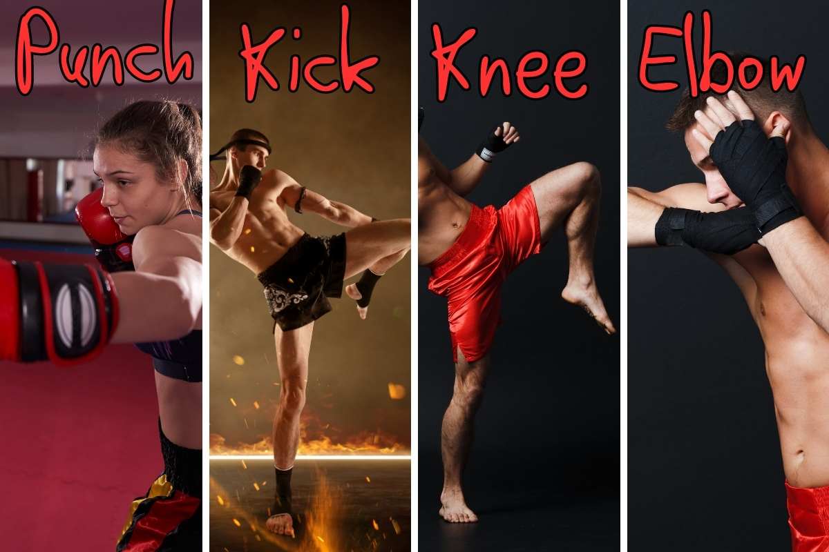 Muay Thai Techniques (Punch, Kick, Knee, Elbow)