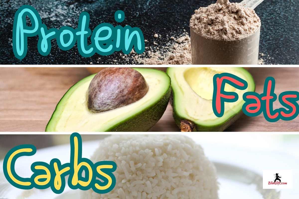 Protein Carbs and Fats
