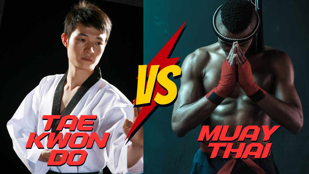 Taekwondo vs. Muay Thai