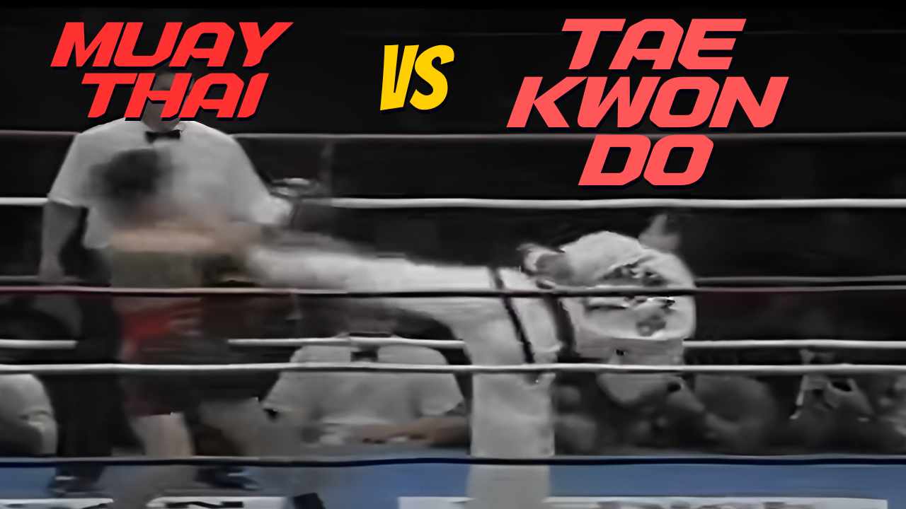 Taekwondo vs. Muay Thai