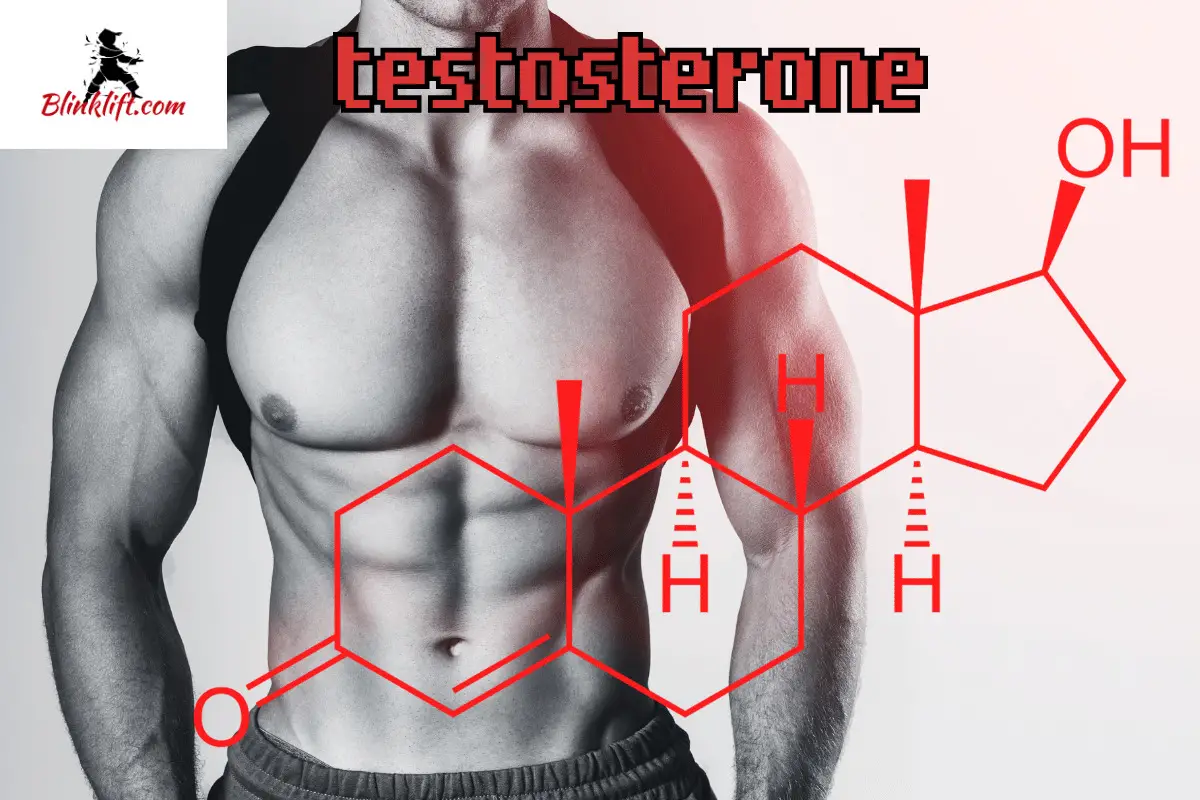 Testosterone 